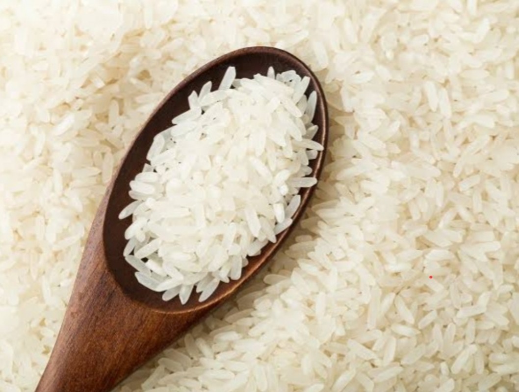 Good Quality Brazilian Rice from Brazil